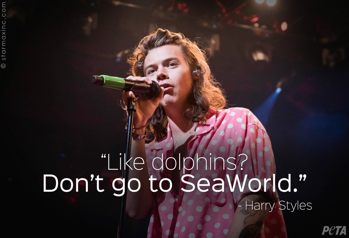 Love a guy who lets his fans know what he believes in 👊🐬 #HappyBirthdayHarryStyles!