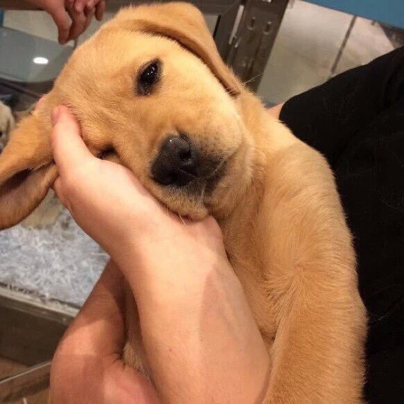 ItsBaeFeelings's tweet photo. mood 24/7 https://t.co/MJlV8Iok8w