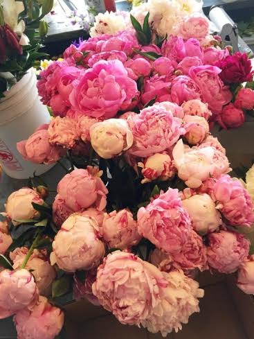 BellesCreative's tweet photo. Stop &amp; smell the peonies. https://t.co/Ki7cnX20kV