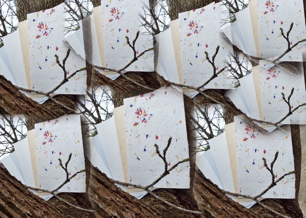 exoticpaperco tweet picture