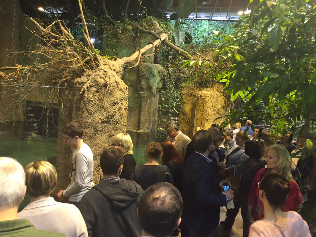 DIGwro's tweet photo. Dzisiaj członkowie DIG mają spotkanie we wrocławskim Afrykarium#biznes #networking #klubbiznesu #Wroclaw #afrykarium https://t.co/imwzaOwm5L