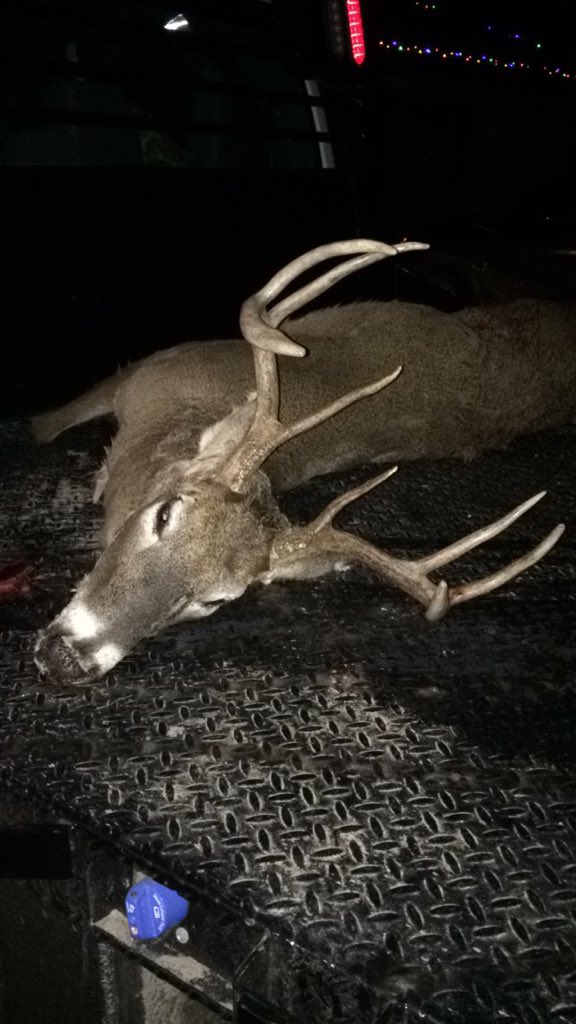 Gavin Higgins tweet media