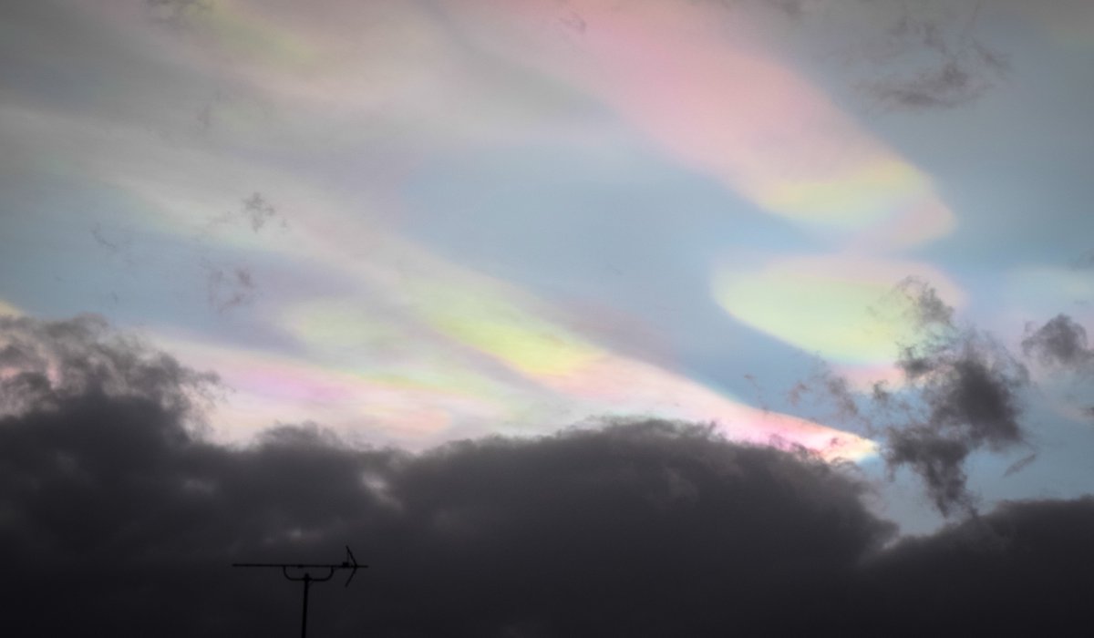 Paper Cranes tweet media