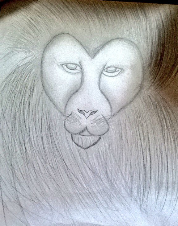 RominaCoria3's tweet photo. Cuando estas aburrida y te pones a dibujar... Jajaja #Intentodedibujo #León 😂😏 https://t.co/llkwJUf1UU