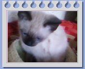 mariswift3's tweet image. 