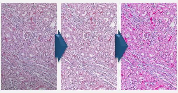 ChromaCal's tweet photo. Do you post-process scientific images? Photoshop is not the answer. FREE webinar, Feb 24: https://t.co/29eh9RzIH2 https://t.co/5apeCBvTas