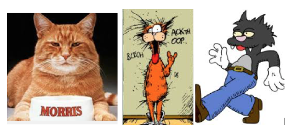 GrumpyOrthodCat's tweet image. Just finished celebrating Feast of the Three Hierarchs.