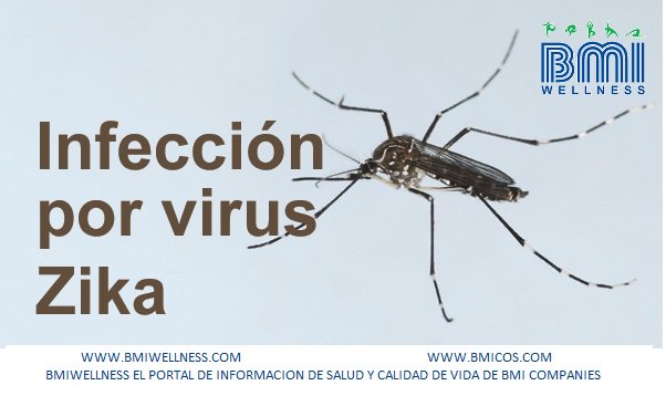 BMIWELLNESS.COM tweet media