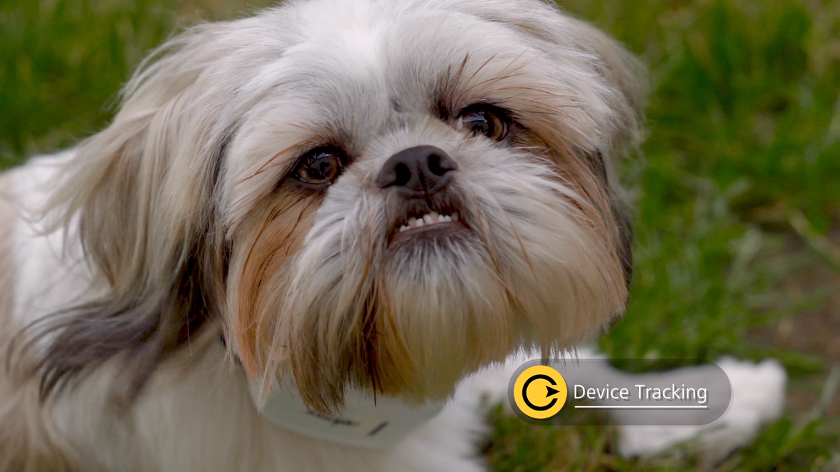 Check out the ad we produced for @Letstrak - a real-time tracking &amp; instant messaging app - bit.ly/1KSCKcz