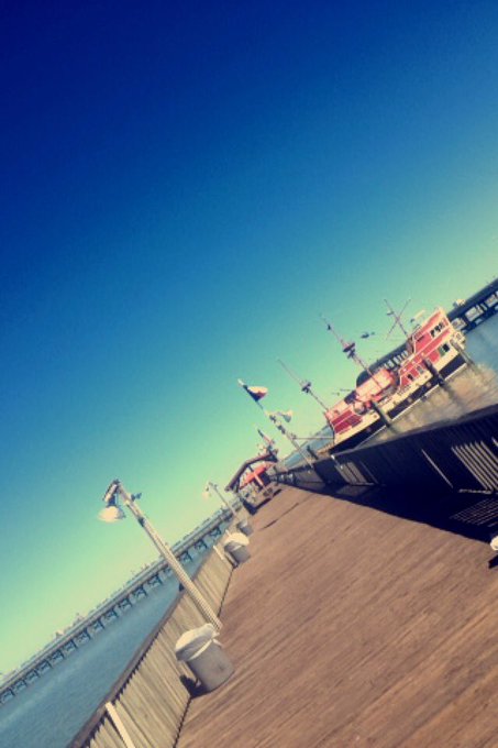 S.P.I https://t.co/kTC7hodWNS