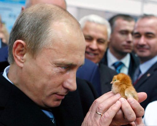 JenJenTweetHome's tweet image. I'm gonna call you... Ukraine.