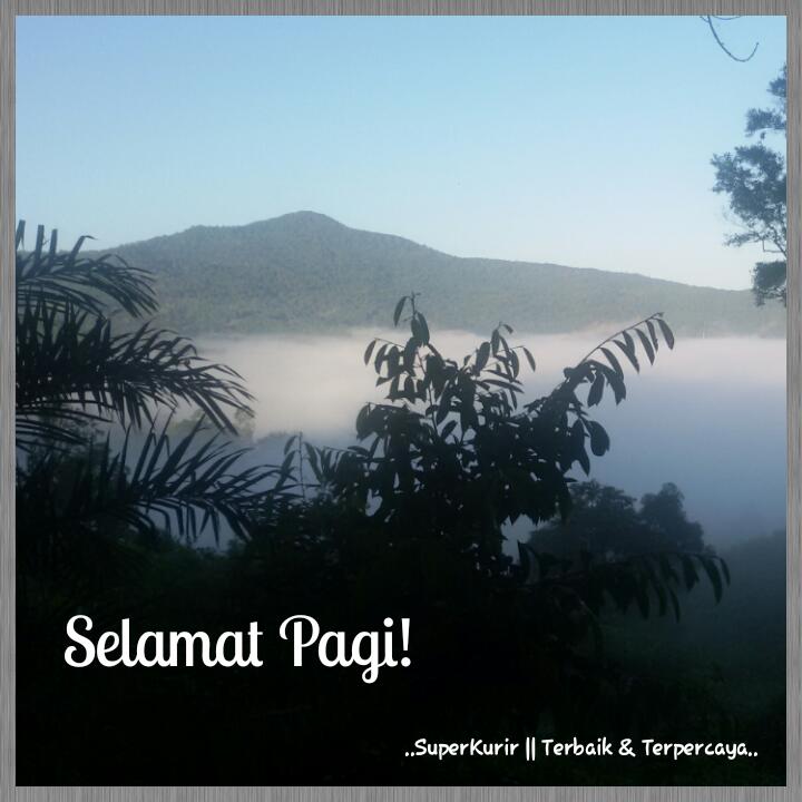 Super Kurir kendari tweet media