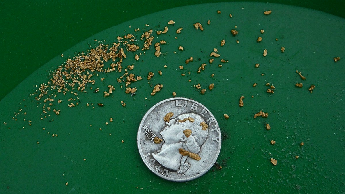 sluicelee's tweet photo. Went #highbanking this weekend, one of our best cleanouts! #goldmining #gold #placer #washingrock #happyprospecting https://t.co/9WwECECxhl