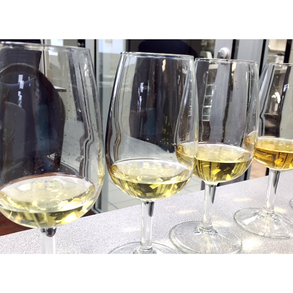 jessicamluongo's tweet photo. Vertical of #ChateaudeFargues 11, 09, 05, 01 #Sauternes 1 Vine=1 btl #WineMaking @caps_bc @Yaffler @marisa_lauren https://t.co/BTByKSNTYe