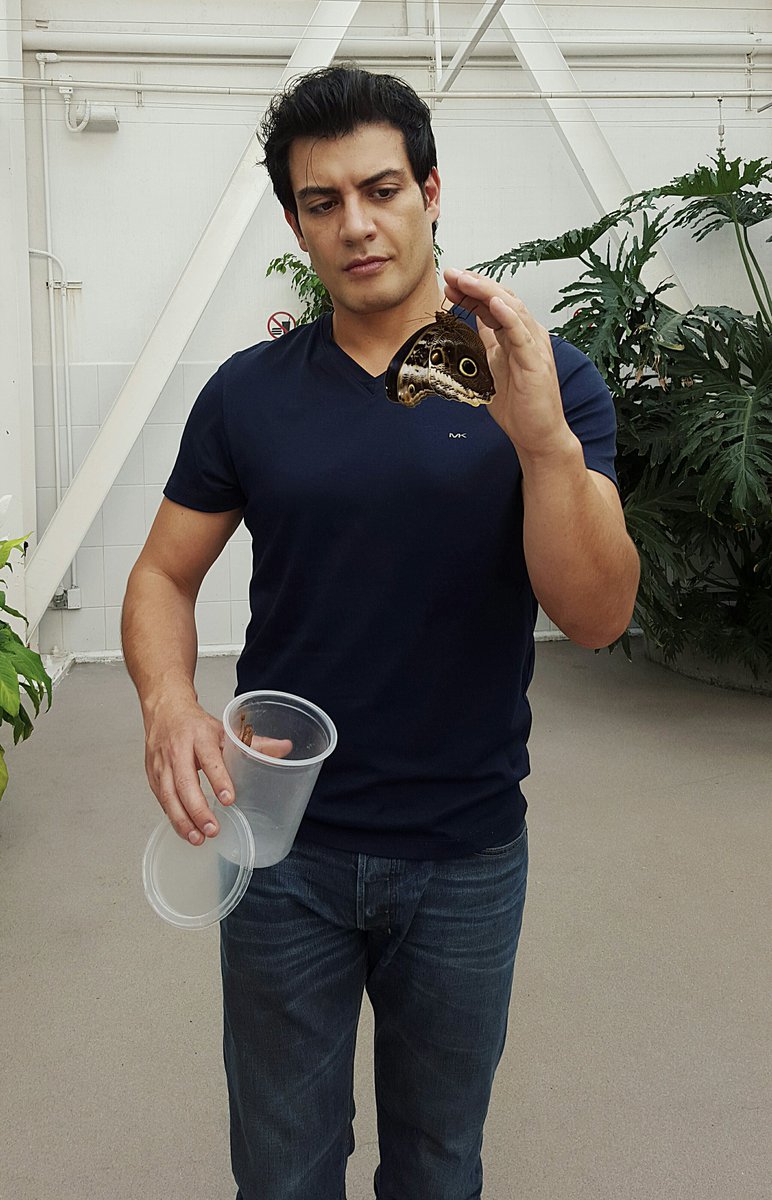 Andrés Palacios on Twitter: &ldquo;@RodriSCamarena https://t.co/54i0dYLJE4&rdquo;