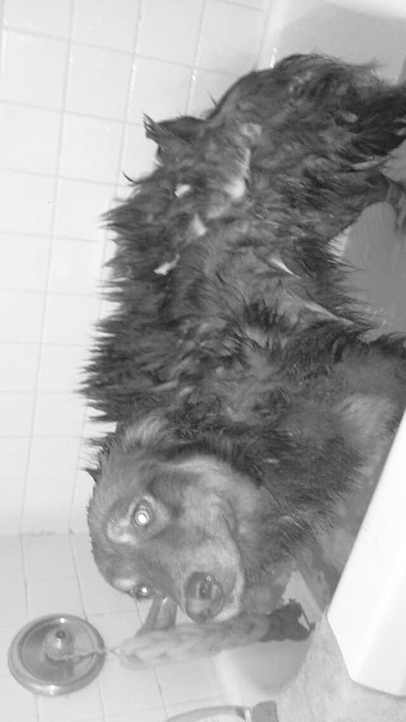 Simba Rivera tweet media