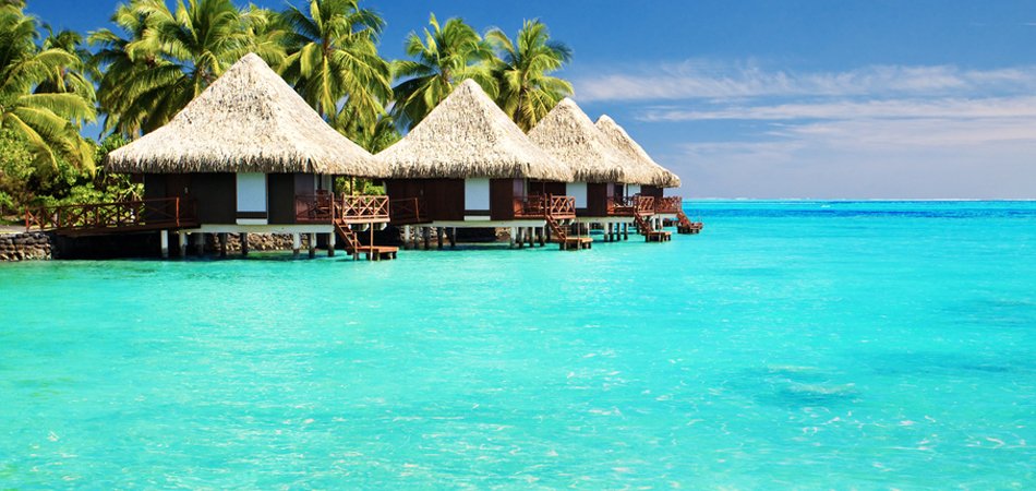 RichLawrence01's tweet photo. 10 Top Things to do in #Maldives https://t.co/sqGBiF6YjZ  #Travel #TravelTuesday #LoveTravels #TravelSkills https://t.co/XBLxupXHAn