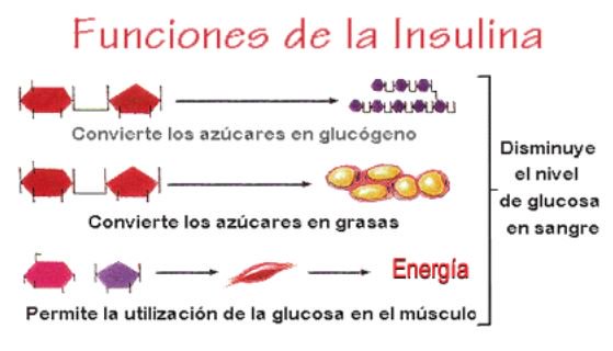 Me pincho insulina y no me baja el azúcar