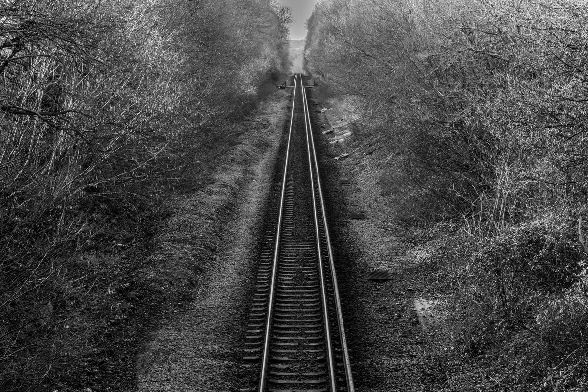 gazshears's tweet photo. Railroad to Nowhere,Pics are now in the album on https://t.co/UvnASI1E3W @dogwoodweek5 @dogwood52 https://t.co/zLJNdsQMtF
