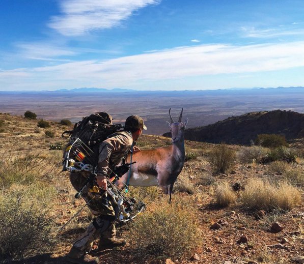 Montana Decoy tweet media