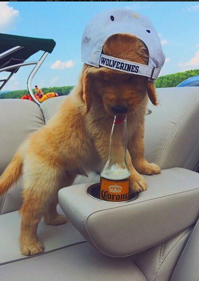 CauseWereGuys's tweet photo. We get it.... you're in a frat https://t.co/HpS7iENhfn