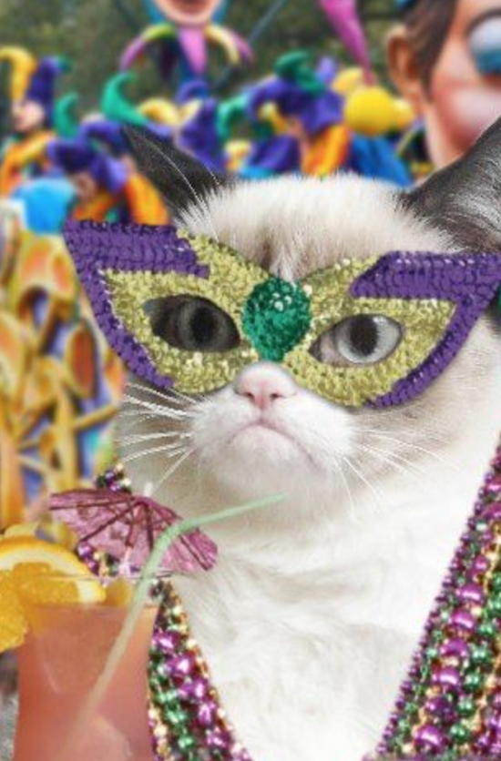 VitaminCcomm's tweet photo. What are you feeding me, human? #MardiGras is soon! Don't miss what's coming! #Brickell #MiamiParty https://t.co/37g1mrqi6O