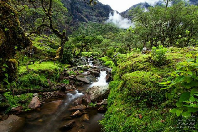 Mountain_Chain_'s tweet photo. #natural #nature this is indonesia #bukit lowe/loe/lohe #Camping #outdoor #MountainChain https://t.co/JZ4cfoAa0h