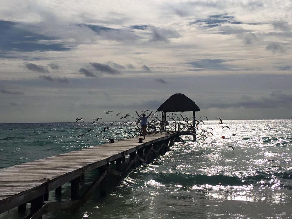 ViceroyRM's tweet photo. The feeling of rest and peacefulness that can come from this freedom is also called relaxation. #Remembertolive https://t.co/6Rgty5o4am