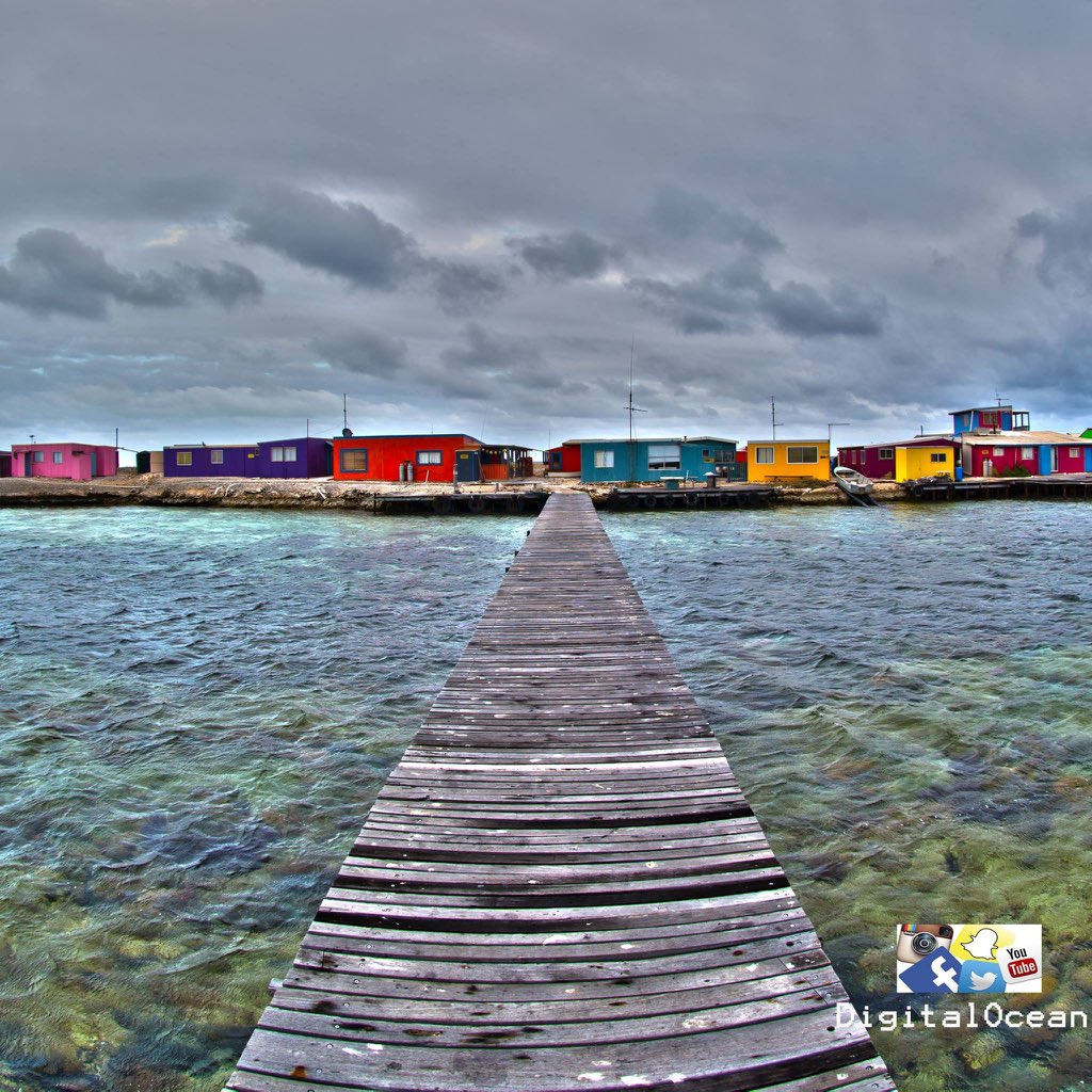 digital ocean tweet media