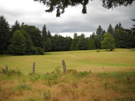 karencall's tweet photo. @WomensEarthAlly #32acres #FarmingPotential #RollingPastures #CattleRanch #Organic #Farming https://t.co/Jhx6wX63PM