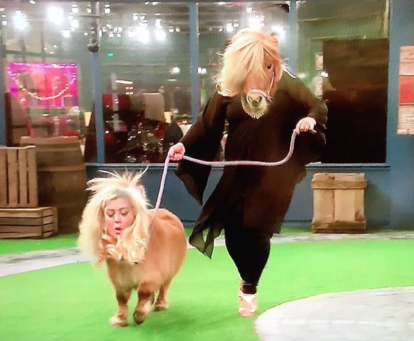 twitshoops's tweet image. #CBB #CBB2016 #GEMMACOLLINS