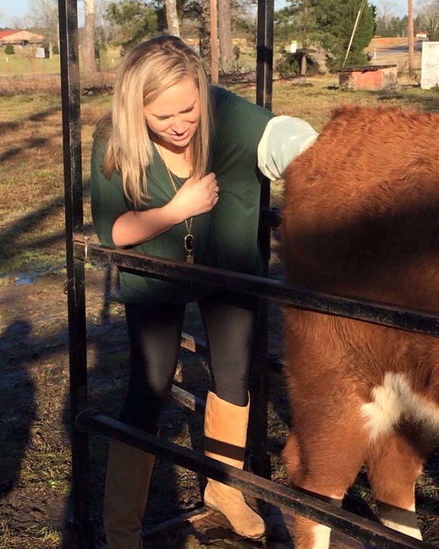 SaludaFFA's tweet photo. Our very brave guidance counselor Mrs. Whitney Price Moore joined us for pregnancy checking our cows https://t.co/rHS0PRiM2z