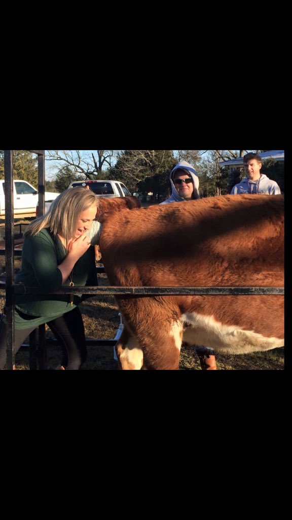 SaludaFFA's tweet photo. Our very brave guidance counselor Mrs. Whitney Price Moore joined us for pregnancy checking our cows https://t.co/rHS0PRiM2z