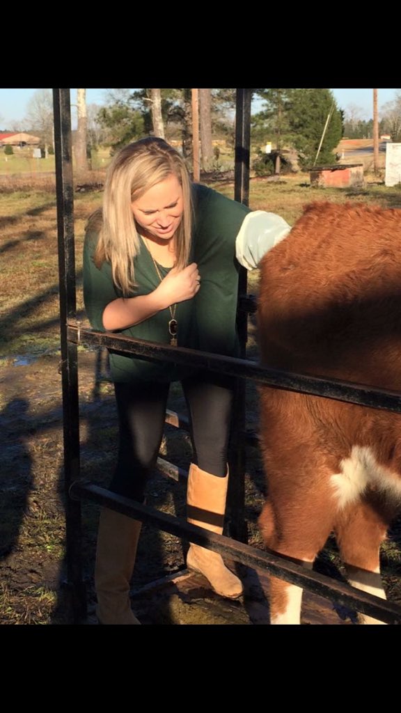 SaludaFFA's tweet photo. Our very brave guidance counselor Mrs. Whitney Price Moore joined us for pregnancy checking our cows https://t.co/rHS0PRiM2z