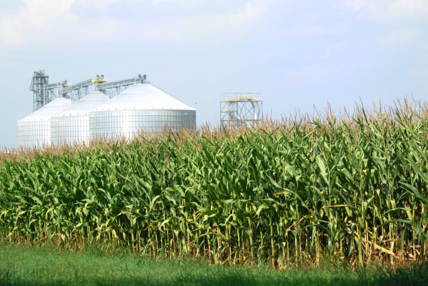 Wallbank_'s tweet photo. Top 5 Reasons Why You Need to Start Using Grain Bin Bolts https://t.co/WU8btsBGov #farming #agriculture #binbolt https://t.co/rPEW69ZjfL