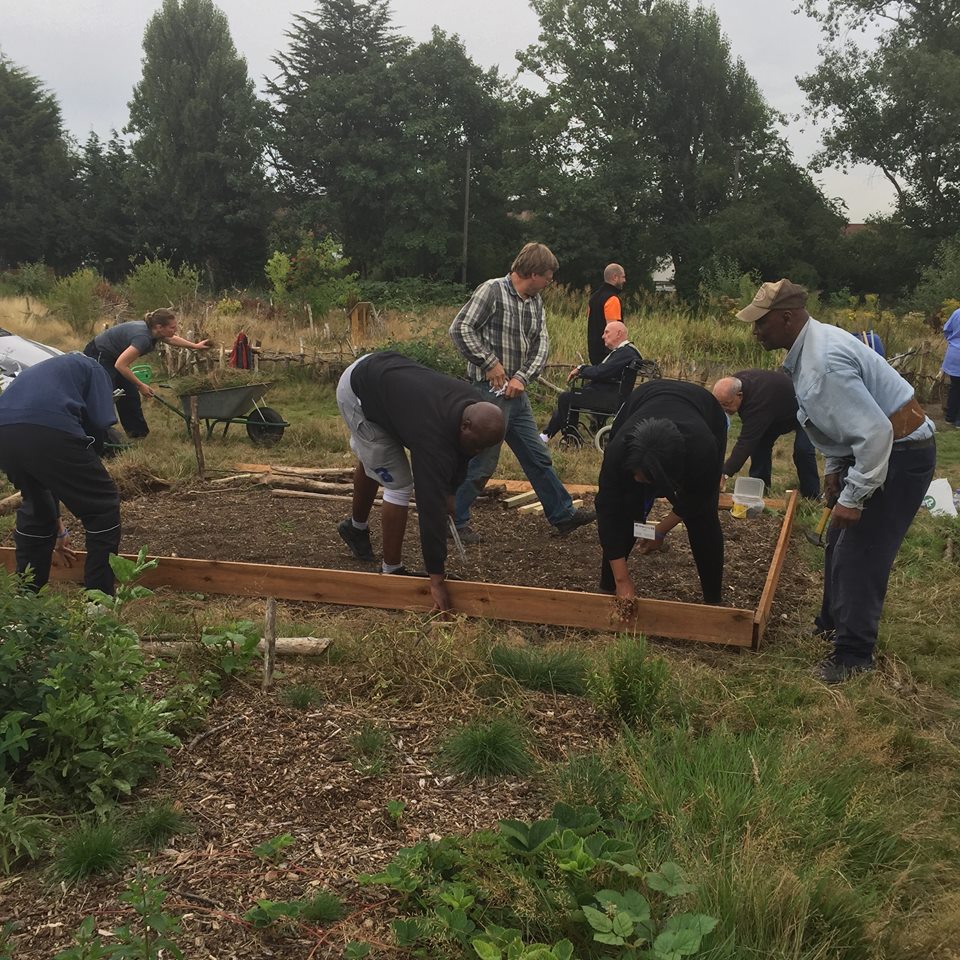 Our Gardening Therapy for Stroke Rehabilitation;