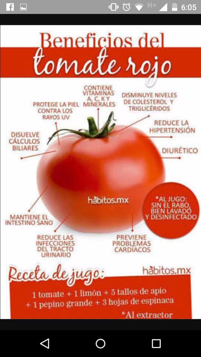 danielvenzor7's tweet photo. Ejemplo infografía Fisiologia https://t.co/OTcijZRFhT