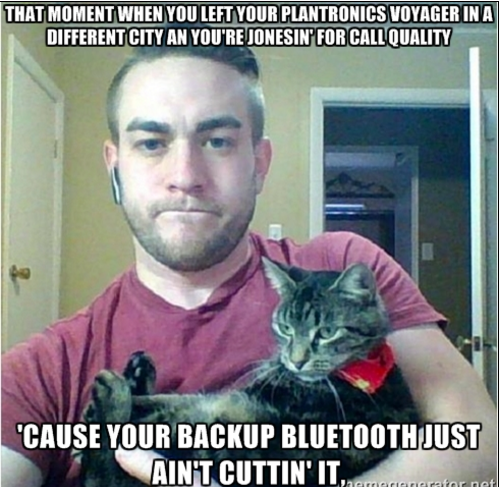 Plantronics's tweet photo. We've all been there........ via @theboyMayer featuring #HomeOfficeCat https://t.co/750VvQJAxc