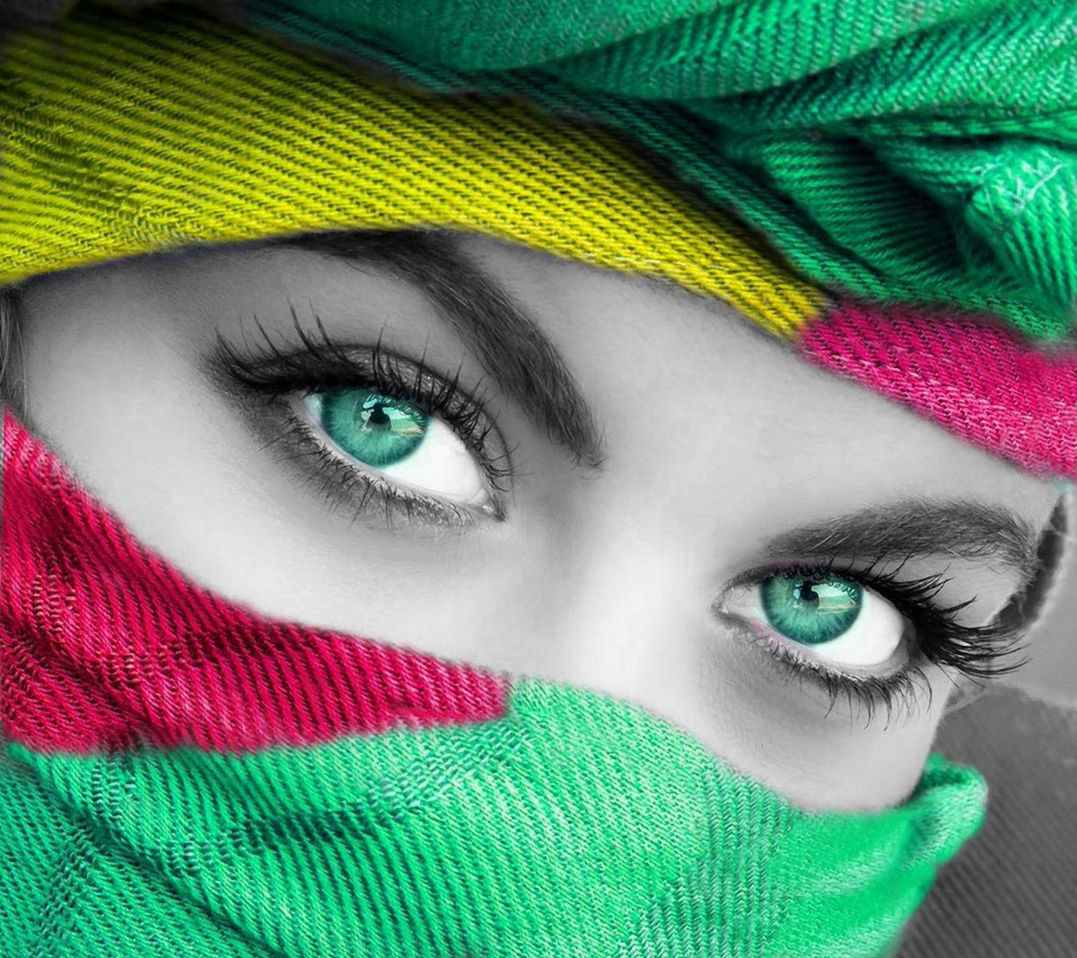 السيد (@hadirhadir066) on Twitter photo 