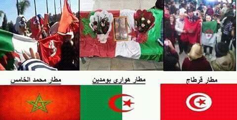 HoudaMasfiwiya's tweet photo. 👈اش خدينا من ستاراك  👈خوتنا جزائر و تونس المغرب العربي الخليج
و لنا شرف ترفع اعلام ديالهم في مطار محمد الخامس👏 ارتقو https://t.co/mZSqltU9aP