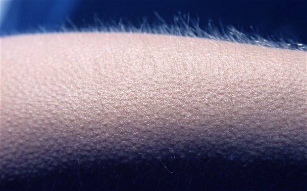 CarnavalCadizTV's tweet photo. Lo que sientes al escuchar el Pasodoble de Los Serenisimos #COAC2016S1 https://t.co/kTvmMjlkMH