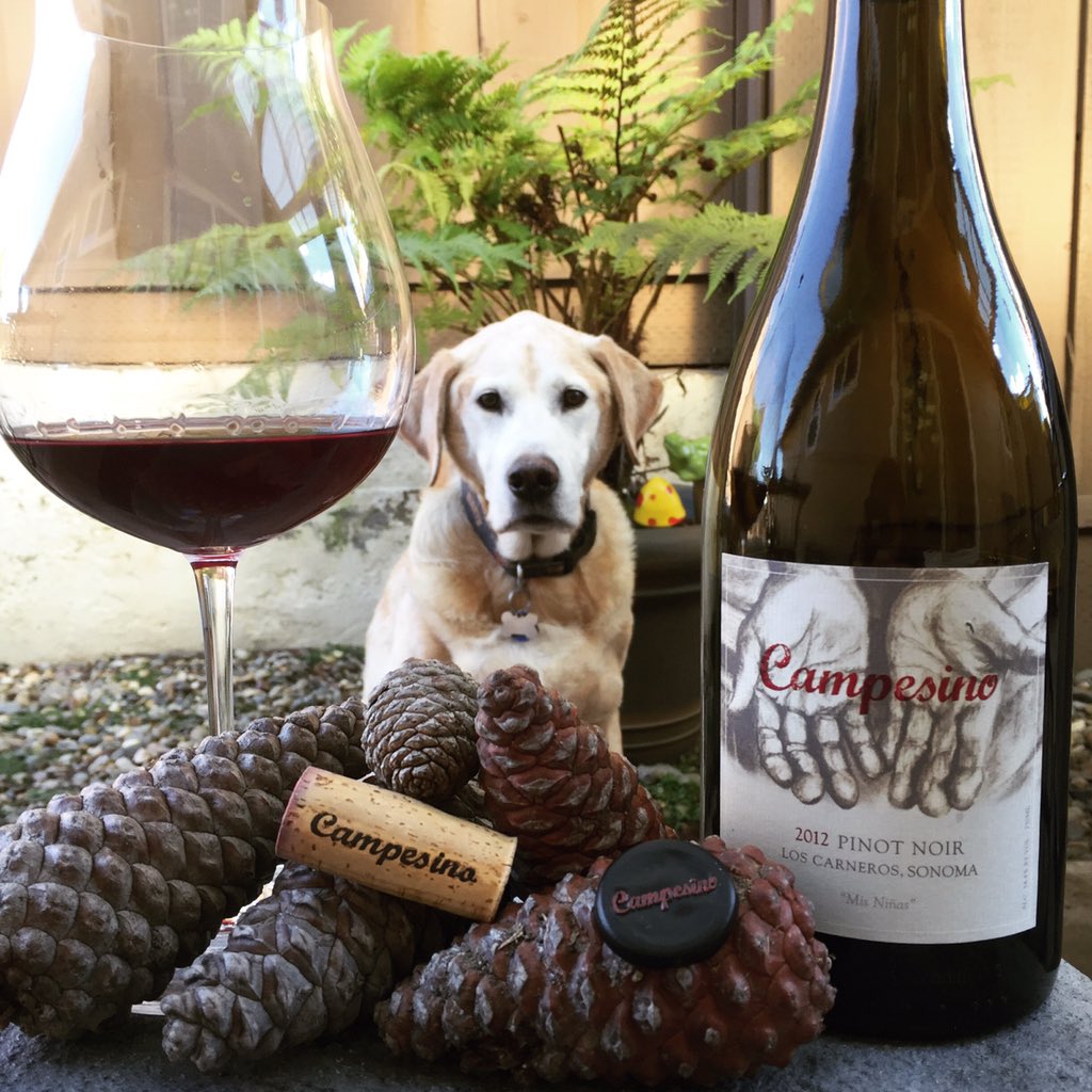 Yesterday's #pinotnoir from <a href="/Campesinowine/">Campesino Cellars</a> with G-Dog