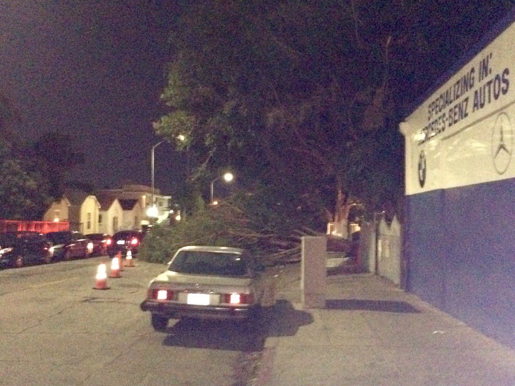 TheBlankTheatre's tweet image. Be careful on Wilcox by  The Blank tonight! #windproblems