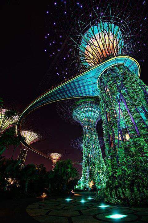 buckaroojamie's tweet image. #Singapore #solartrees #earthporn