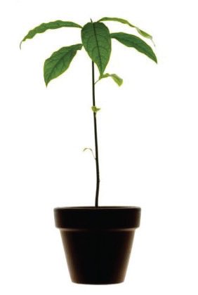 Image: https://pbs.twimg.com/media/CaLaVybWwAAvekC.jpg