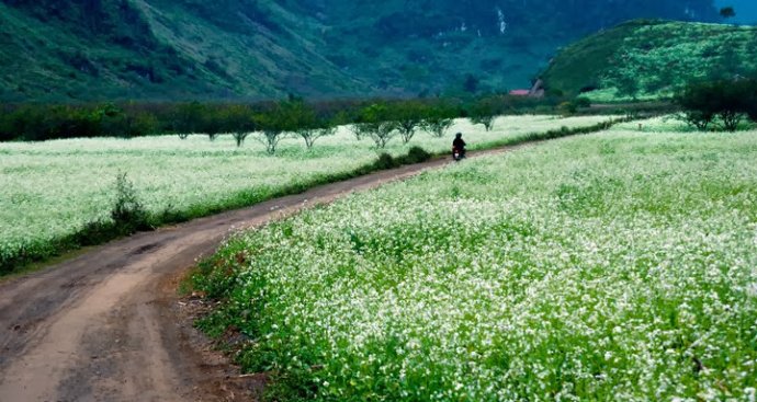10 must-go destinations in #Vietnam for this #LunarNewYear occasion at bit.ly/1lVImME