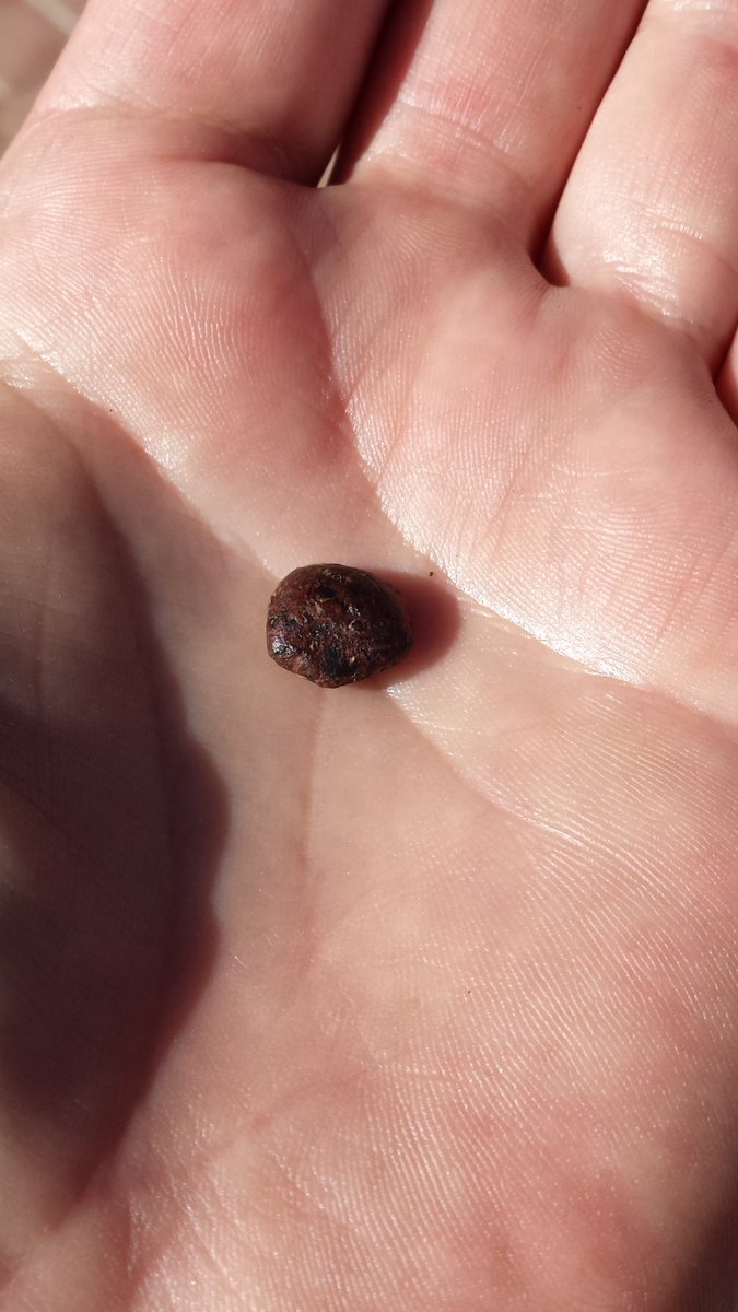 Woodtoast's tweet photo. .@katrobison this is the meteorite we discussed that I found at #meteoriteBootCamp. :-) https://t.co/Ad6Xn8jbX8