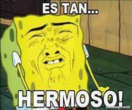 El Yesca tweet media