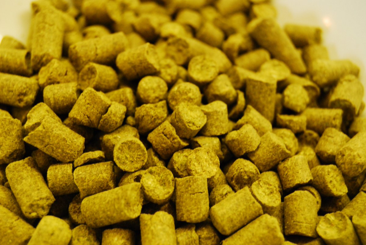 Hop pellets. #beer #homebrew #brewing <a href="/beertography/">beertography</a>