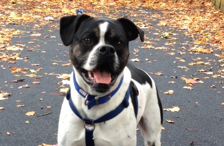 Feel like you've seen Reggie before? He's been with us for almost a year. #GroundhogDay bit.ly/1Q9qYMo